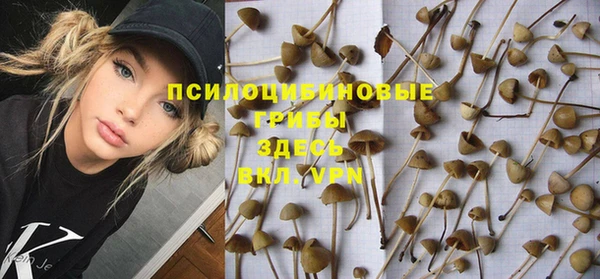 2c-b Алексеевка