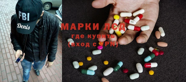 прущие грибы Алзамай