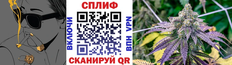 Конопля THC 21%  Полярный 